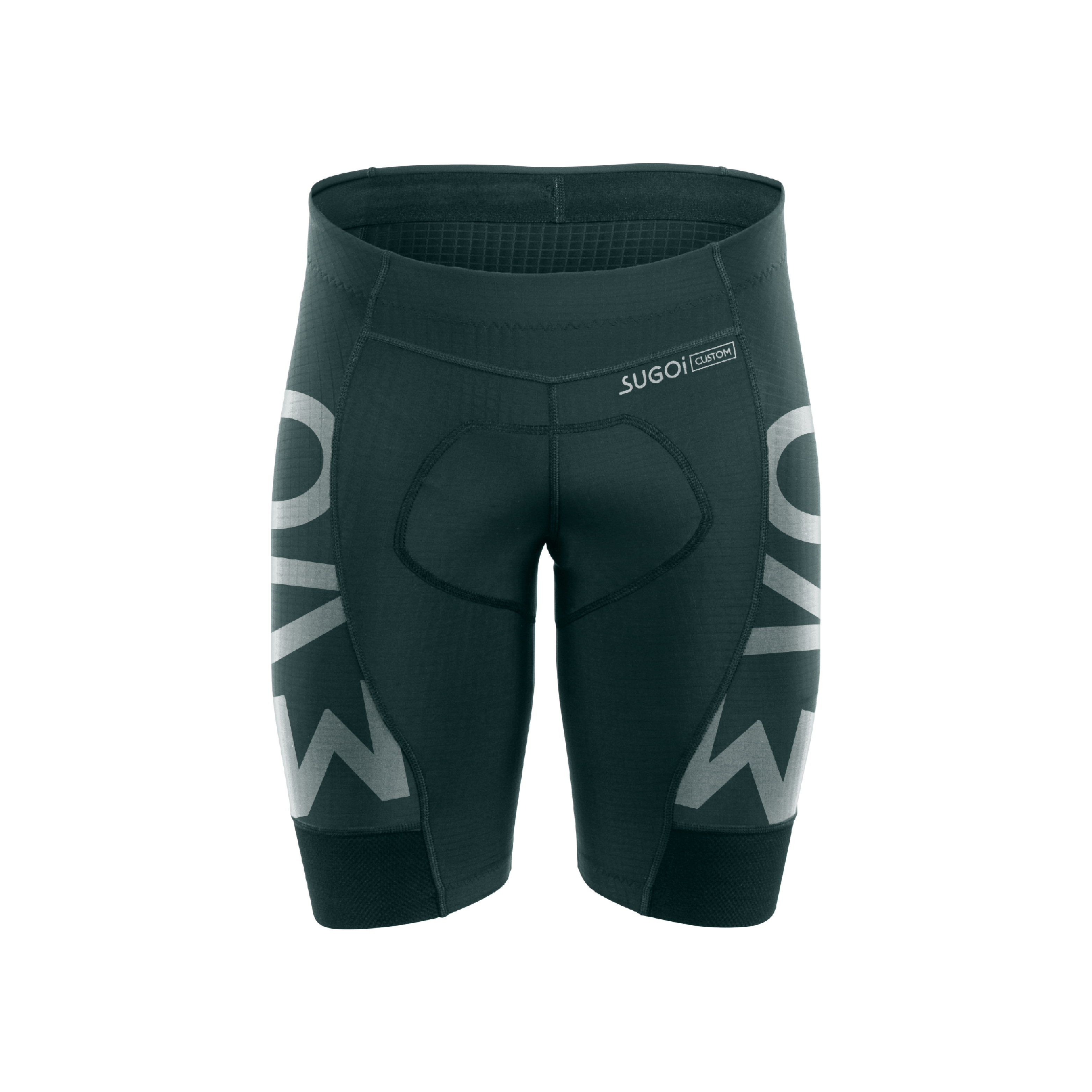 Evolution Shorts (Custom)